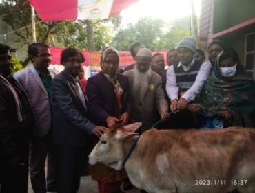 Cow rearing Program :